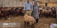 ۴۰ سال زندگی عاشقانه با اعظم