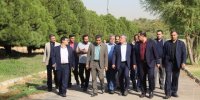 تاکید رییس شورای شهر تهران بر لزوم احیای پارک آبی آزادگان
