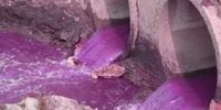 ارائه روشی برای حذف و بی‌خطر کردن پساب رنگی و دارویی