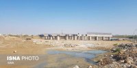 اکوسیستم شکننده‌ی خور گردشگری گناوه و احداث یک پل!
