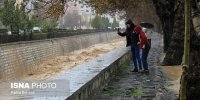 پرطرفدار بودن سلفی مثل محبوبیت تتلو است