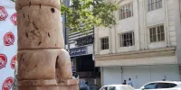 نترسید! این درخت افتادنی نیست
