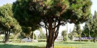 ابتکار هنرمندان اصفهانی برای هشدار نسبت به گرمایش جهانی
