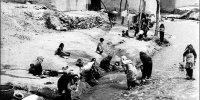 هشدار یک کارگردان سینما نسبت به تکرار فاجعه شیراز در همدان