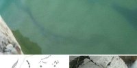 سیل منتظر دادگاه و انتقال سنگ‌نگاره‌های کوچری می‌ماند؟