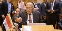 دیدار وزیر خارجه مصر با فرستاده ویژه سازمان ملل به سوریه