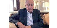 ابوالغیط: حزب‌الله جزئی از دولت لبنان است/ اراده جمعی عربی برای حل مشکل با سوریه وجود ندارد