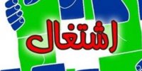 پرورش بوقلمون با سرمایه 50 میلیونی