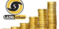 سخنگوی قوه قضاییه: شناسایی بخش جدیدی از اموال متهم پرونده سکه ثامن