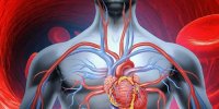 5 گزینه طبیعی برای بهبود گردش خون