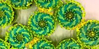 همکاری ربات‌های ذره‌ای در حوزه کشاورزی و دفاعی ممکن می‌شود