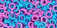 تعیین جنسیت جنین موش با جداسازی اسپرم
