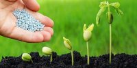 ایده‌بازار زیست‌فناوری توسعه می‌یابد