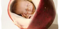آب انار از مغز جنین حفاظت می‌کند