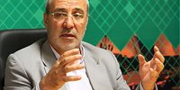 حاجی دلیگانی: مردم از افزایش قیمت برق گله دارند