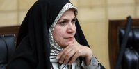 ذوالقدر: مدیران عالی کشور در بیان سخنان خود ادب سیاسی را به نمایش بگذارند