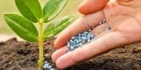 مصوبه اختصاص تسهیلات به شرکت خدمات حمایتی کشاورزی اصلاح شد