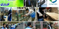 معدوم‌سازی بیش از ۷۲۹ هزار کیلو مواد غذایی غیربهداشتی در برنامه سلامت نوروزی
