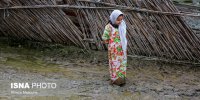ارسال ۳۰۰۰۰ پماد دور کننده حشرات به اهواز/ دریافت نیازهای دارویی سیل‌زدگان با پیامک