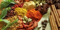 طب سنتی به گیاهی تغییر پیدا کرده است