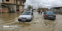 هشدار یک روانشناس درباره یک کلاغ چهل‌کلاغ خبرهای سیل در شبکه‌های اجتماعی