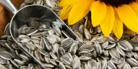 هر 100 گرم تخمه چقدر کالری دارد؟