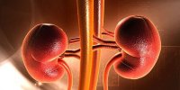 پاک‌سازی کلیه‌ها با این سبزیِ خوردنی!