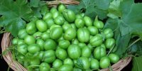 خواص گوجه‌سبز؛ از کاهش وزن تا درمان افسردگی