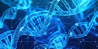 دانستنی‌های جالب درباره دی‌ان‌ای (DNA)