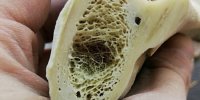 نصفه‌هایی که نگاهتان را به دنیا عوض می‌کند