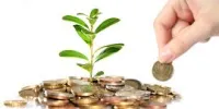 افزایش سودآوری پردیس به مدد رشد بازار بورس