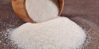 کاهش حجم برداشت چغندرقند و رقابت قندی ها در خرید / خوشبینی به رشد سودآوری قندی ها