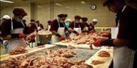 خميرمرغ، ماده سوسيس و کالباس يا غذاي سگ؟