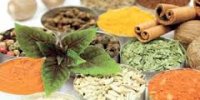 ارزش افزوده گياهان دارويي ايران در جيب آلمان