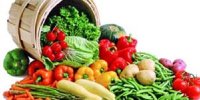 صادرات ۳۱۵ میلیون دلار محصولات کشاورزی و غذایی ایران به اوراسیا
