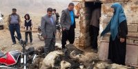 جمع آوری لاشه حیوانات دربرخی مناطق سیل زده مقدورنیست