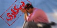 جزئیات ۲۷ میلیون شاغل و بیکار ایرانی