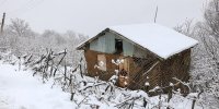 جزییاتی از آغاز بارش برف و باران در پایان هفته جاری
