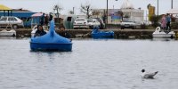 گردشگران نوروزی در تالاب استیل آستارا