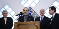 دیدار رئیس کمیسیون سیاست خارجه مجلس ایتالیا با ولایتی