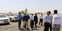 بازدید رئیس جهاد کشاورزی هرمزگان از روند مبارزه با ملخ های صحرایی