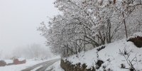 آخرین وضعیت راه‌ها| بارش برف و باران در جاده‌های 8 استان