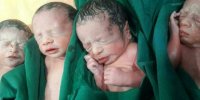 ۴ قلوهای کالپوشی حمایت می‌شوند