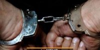 پلیس ۶۶۵ خلافکار را دستگیر کرد