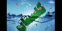 اولویت بیمه هنرمندان مناطق سیل‌زده از سوی اداره کل هنرهای تجسمی