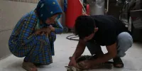 پیگیری دغدغه‌های زیست‌محیطی یک زوج جوان در شبکه مستند