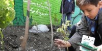 ساخت اولین مدرسه سبز کشور با زیربنای ۷۰۰۰ متری در پایتخت
