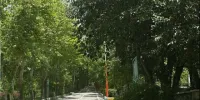 آیا نفع شخصی در واگذاری اردوگاه باهنر وجود داشت؟