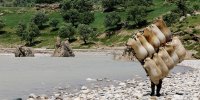 عبور از رودخانه با پوست گوسفند