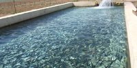 حمایت وزارت کشاورزی از پرورش ماهی در کویر